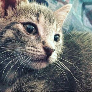 Meet your Posher, Jacob